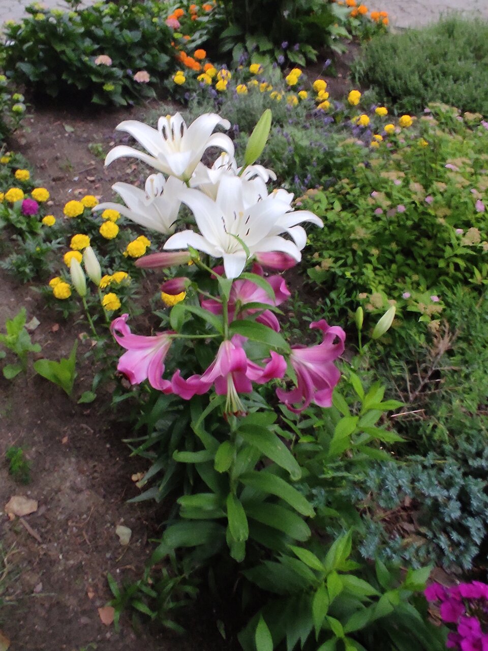 Хостел Берег Москва-7